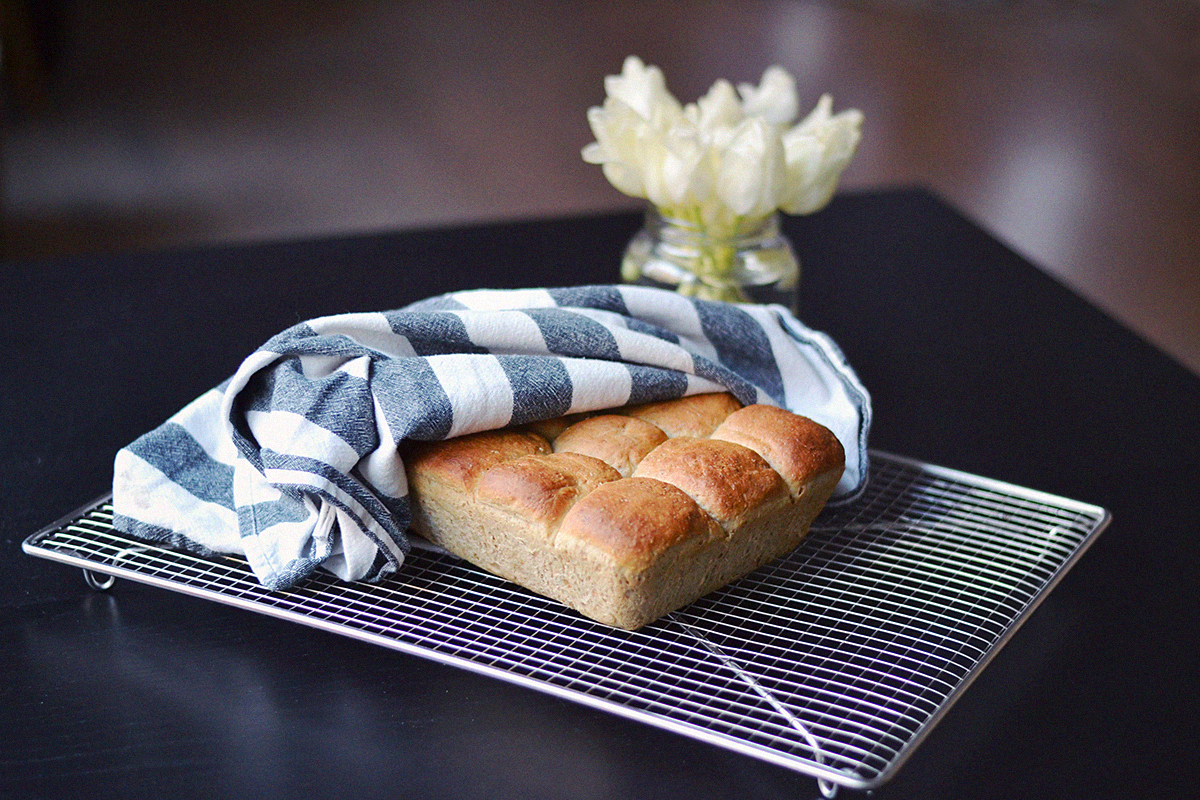 Quick Coconut Oil Bread Rolls (Vegan) | http://BananaBloom.com