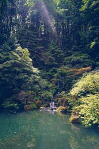 A walk through Portland Japanese Garden | BananaBloom.com